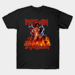 Hip Hop Retro Megan Thee Stallion T-Shirt